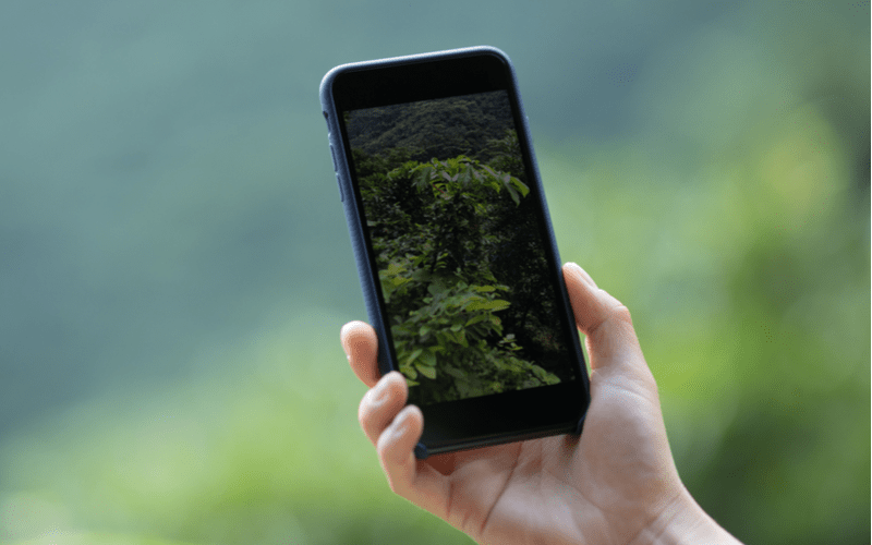 Zielona technologia: drugie życie używanych smartfonów