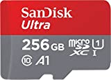 SanDisk Ultra microSDXC (256 GB)