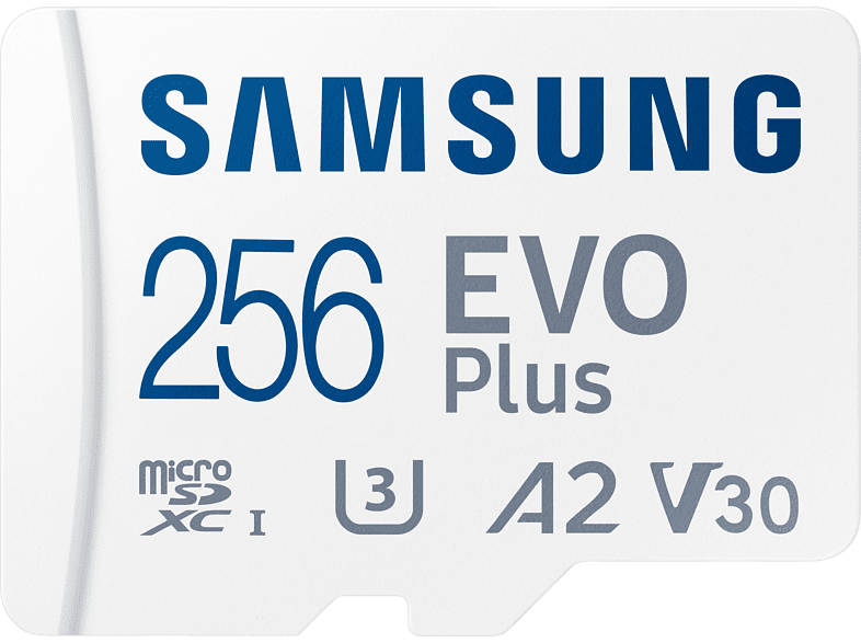 Samsung Evo Plus (256 GB)