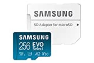 Samsung Evo Select (256 GB)