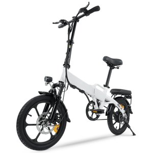 iScooter E-Bike U3