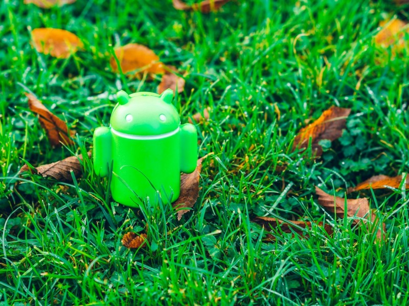 Android 16 wyciek: Czego możemy się spodziewać?